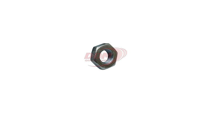 Hex Nut 5/16"