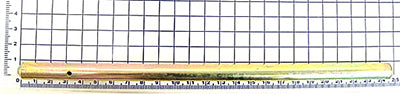 Hinge Pin - Barrier - 774D100